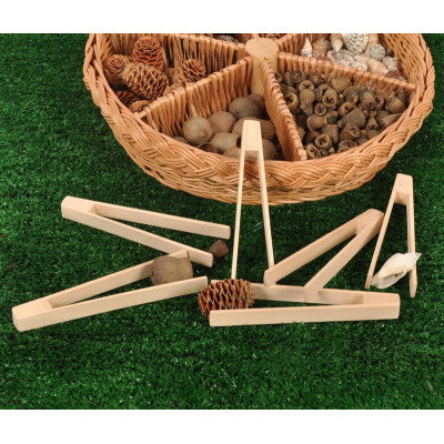 Pincettes en bois (pack de 6)