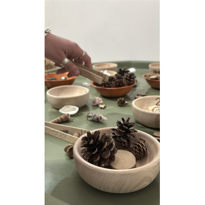 Pincettes en bois (pack de 6)