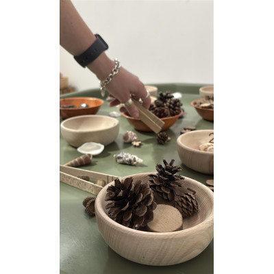 Pincettes en bois (pack de 6)